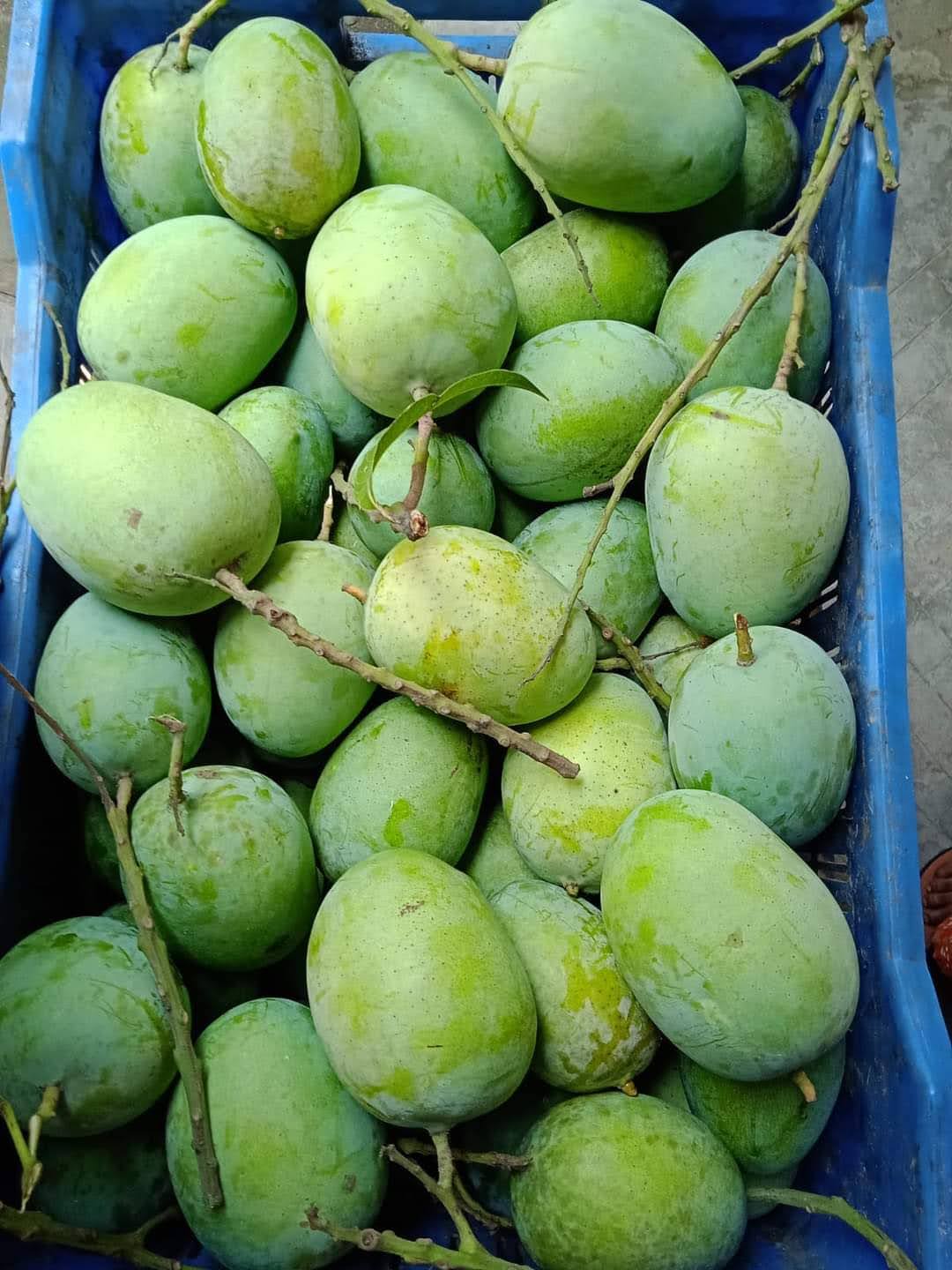 ল্যাংড়া